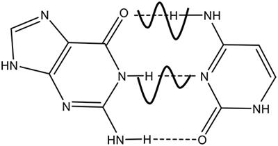 Non-poissonian Distribution of Point Mutations in DNA